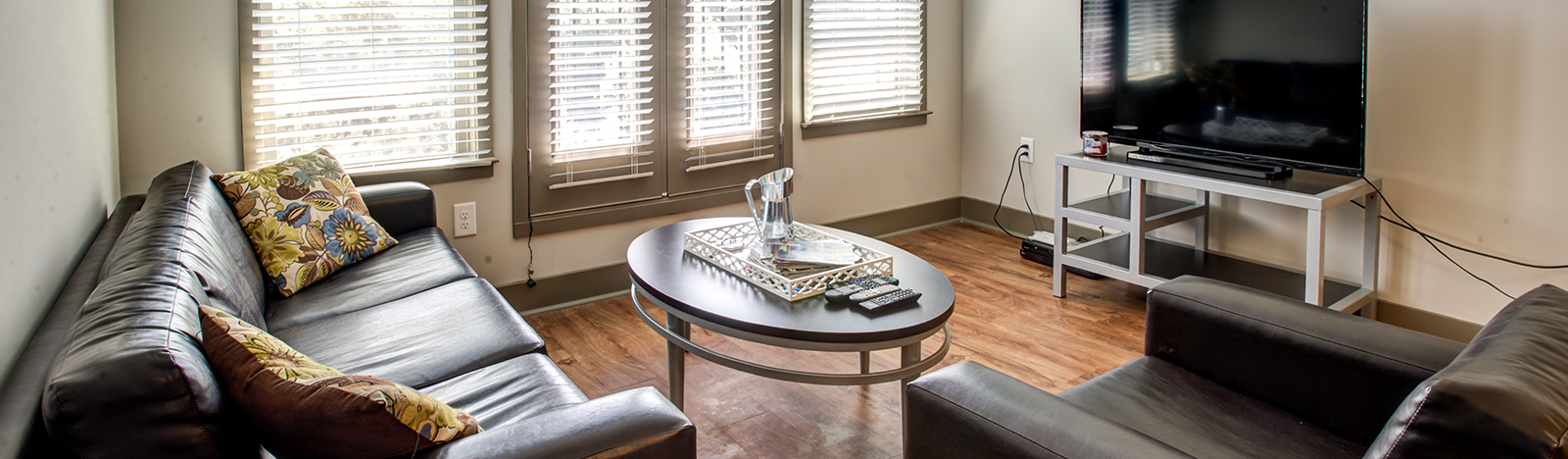 Furnished apartment living space